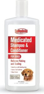 Dog Shampoo for Itchy Skin: 6 Options to Try - Great Pet Care