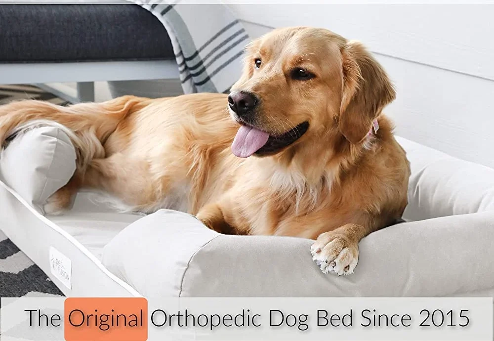 Best Orthopedic Dog Beds